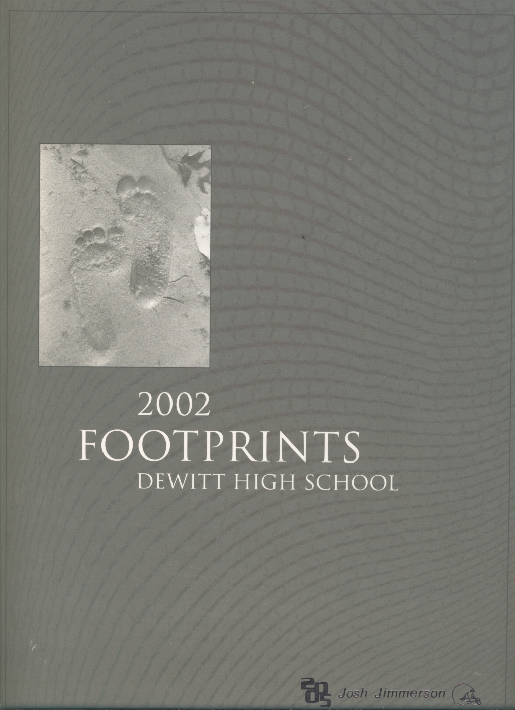 2002 DeWitt High School